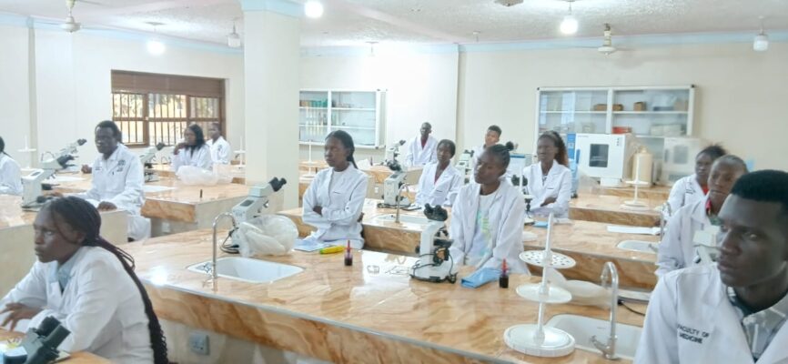 WhatsApp Image 2026-03-11 at 12.27.58 (1)